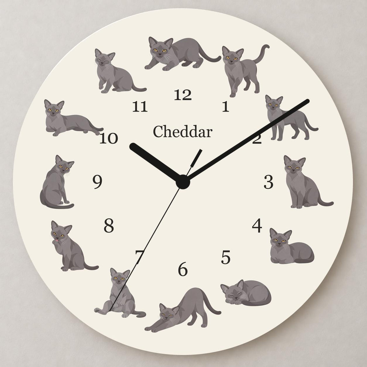 Personalized European Burmese Cat wooden wall clock with example name Cheddar; close up