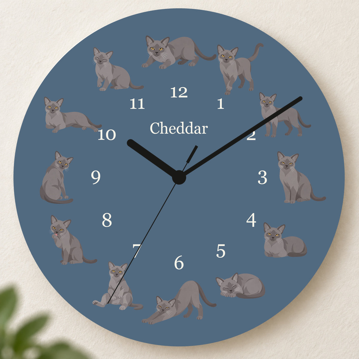 Personalized European Burmese Cat Wall Clock, Custom Pet Name, 11.6 Inch Wooden Clock — Muted Denim background