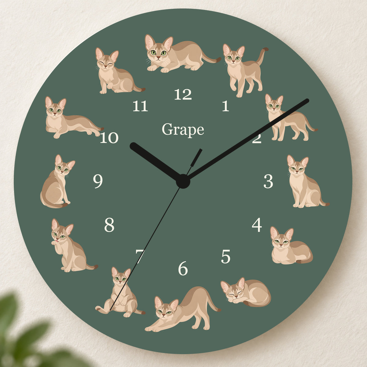 Personalized Singapura Cat Wall Clock, Custom Pet Name, 11.6 Inch Wooden Clock — Deep Sage background