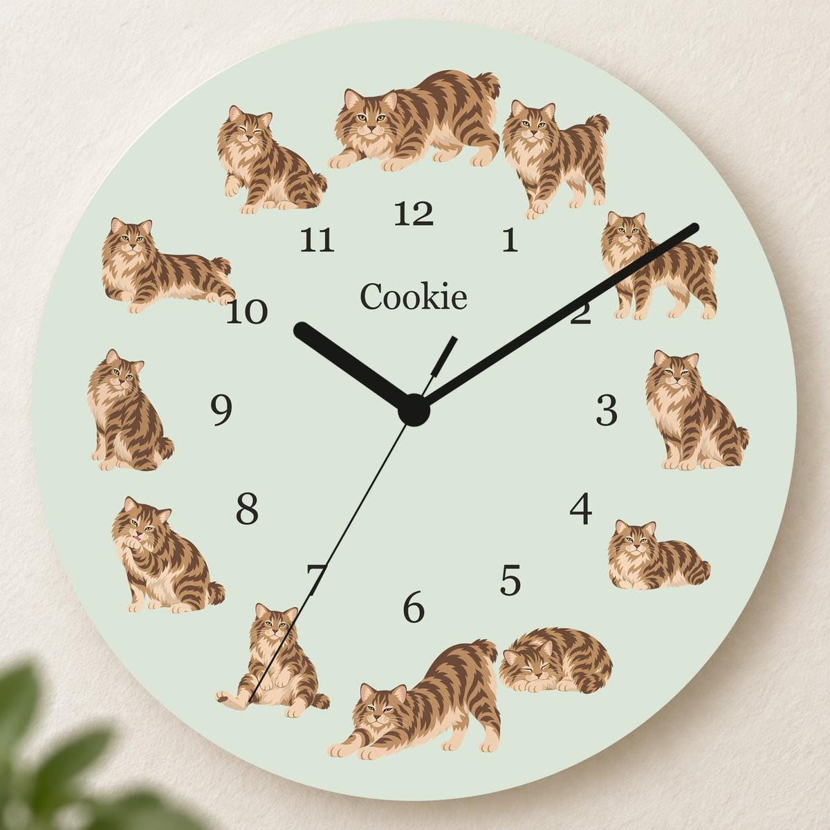 Personalized American Bobtail Cat wooden wall clock with example name Cookie; hero