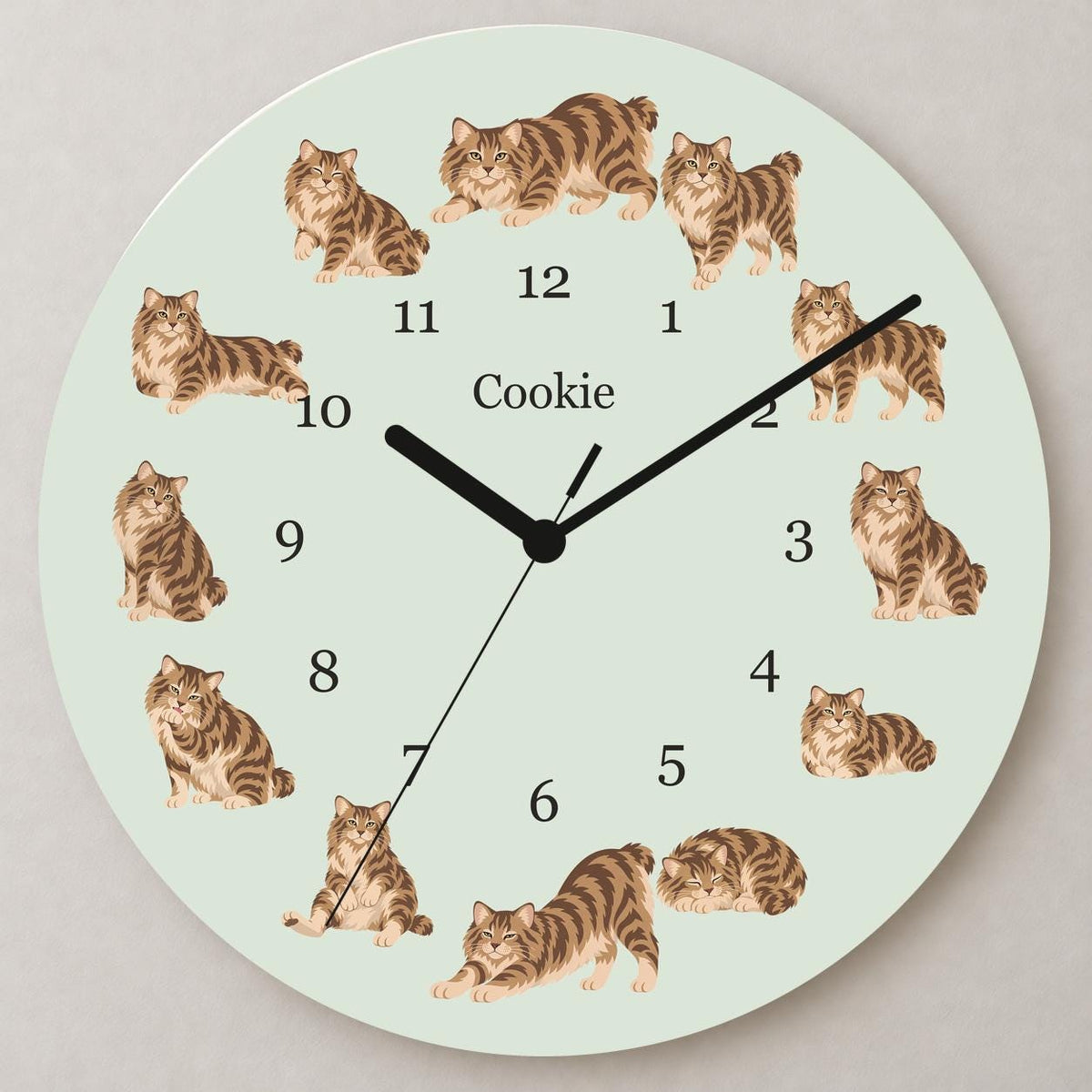 Personalized American Bobtail Cat wooden wall clock with example name Cookie; close up