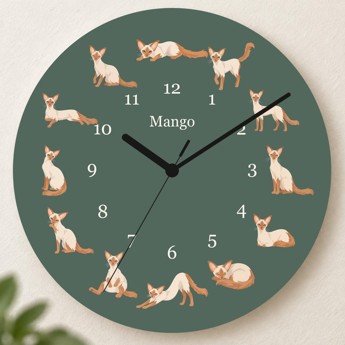 Personalized Javanese Cat wooden wall clock with example name Mango; hero