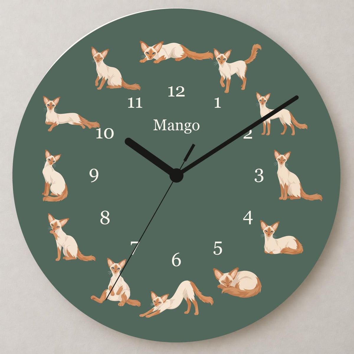 Personalized Javanese Cat wooden wall clock with example name Mango; close up