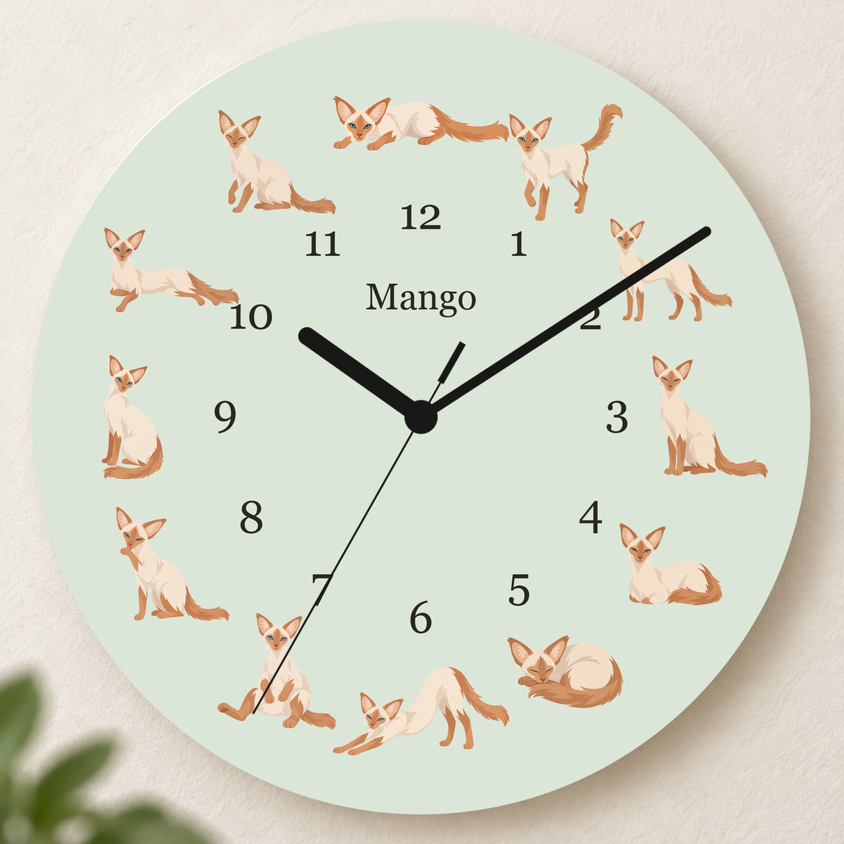 Personalized Javanese Cat Wall Clock, Custom Pet Name, 11.6 Inch Wooden Clock — Pale Sage background
