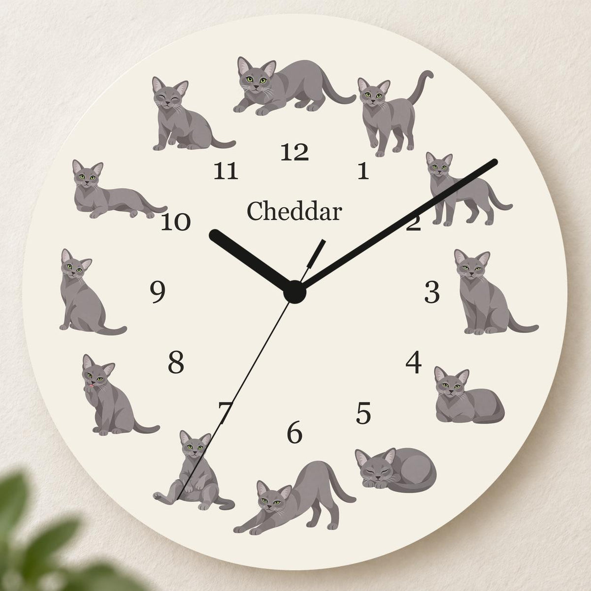 Personalized Korat Cat wooden wall clock with example name Cheddar; hero