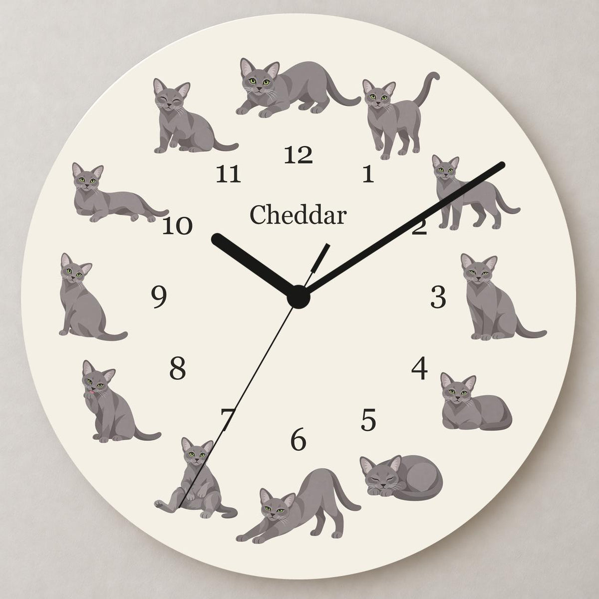 Personalized Korat Cat wooden wall clock with example name Cheddar; close up