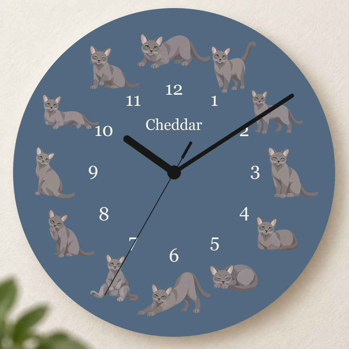 Personalized Korat Cat Wall Clock, Custom Pet Name, 11.6 Inch Wooden Clock — Muted Denim background