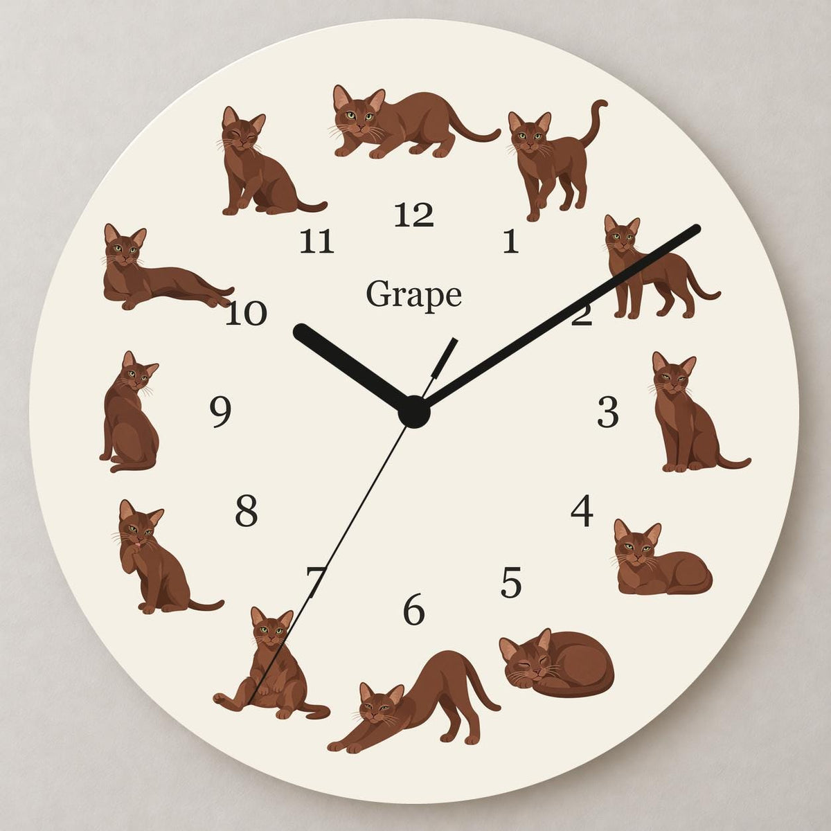 Personalized Havana Brown Cat wooden wall clock with example name Grape; close up