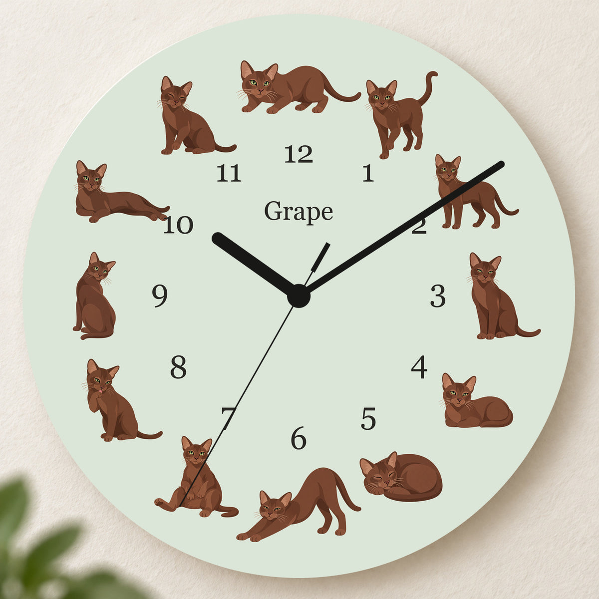Personalized Havana Brown Cat Wall Clock, Custom Pet Name, 11.6 Inch Wooden Clock — Pale Sage background