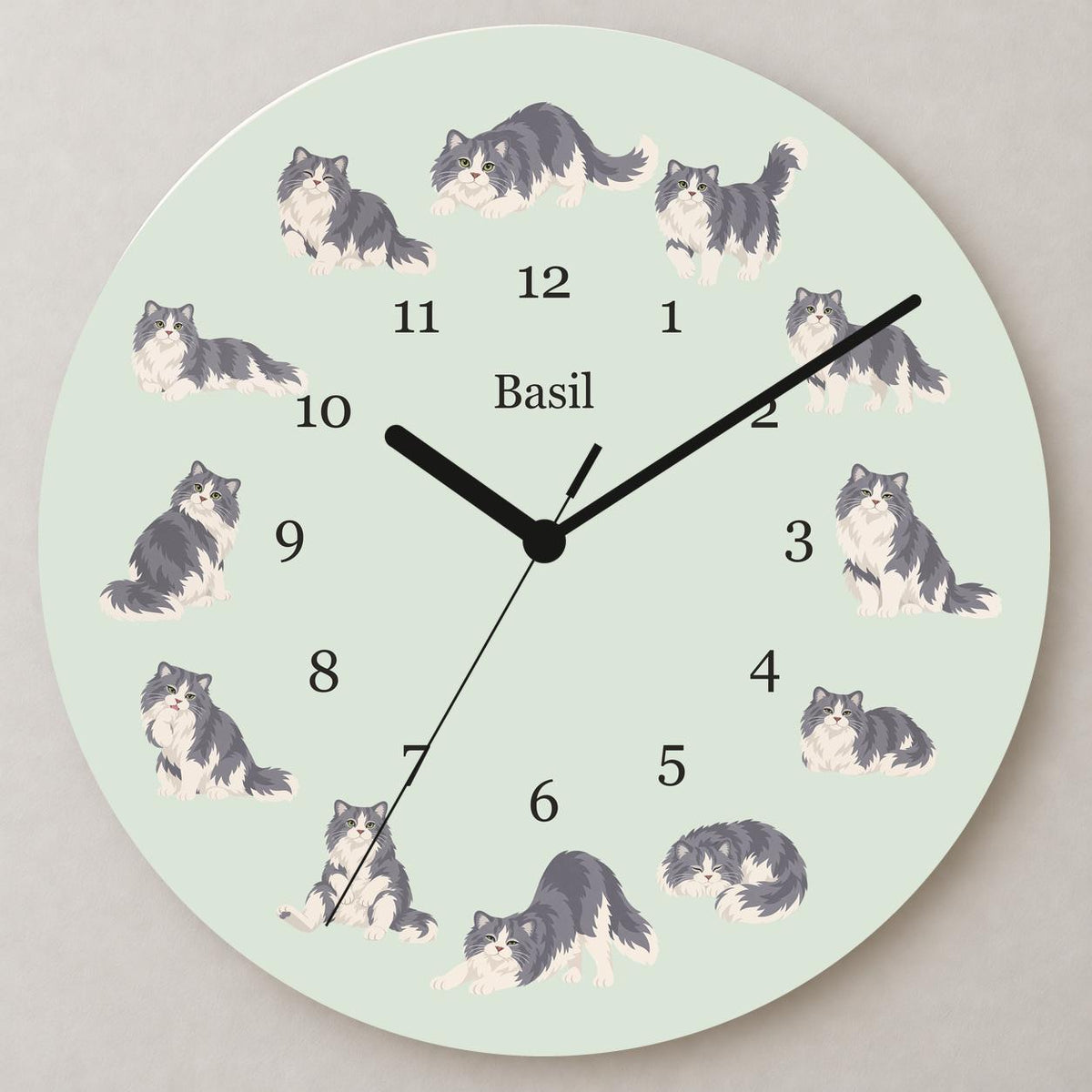 Personalized Ragamuffin Cat wooden wall clock with example name Basil; close up