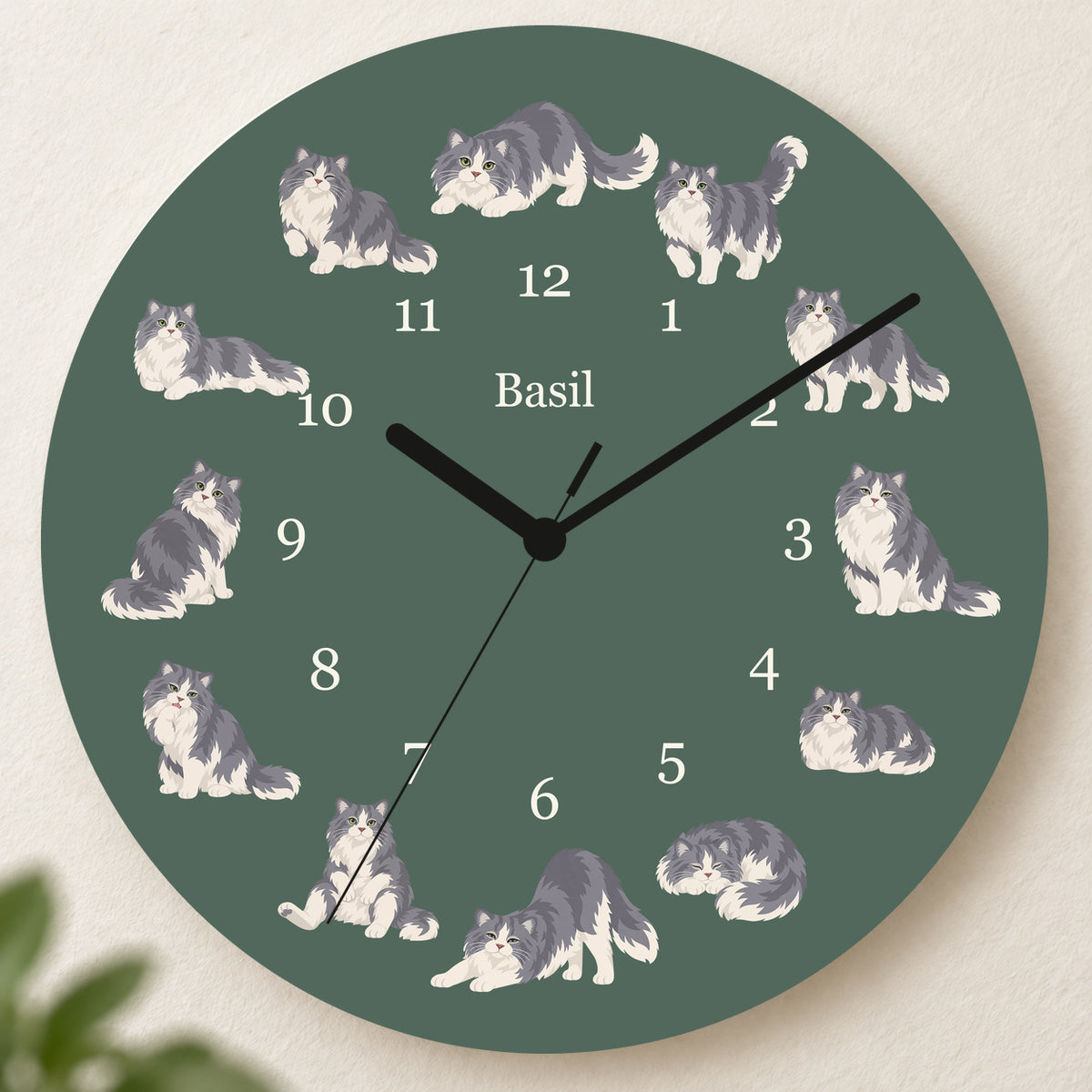 Personalized Ragamuffin Cat Wall Clock, Custom Pet Name, 11.6 Inch Wooden Clock — Deep Sage background