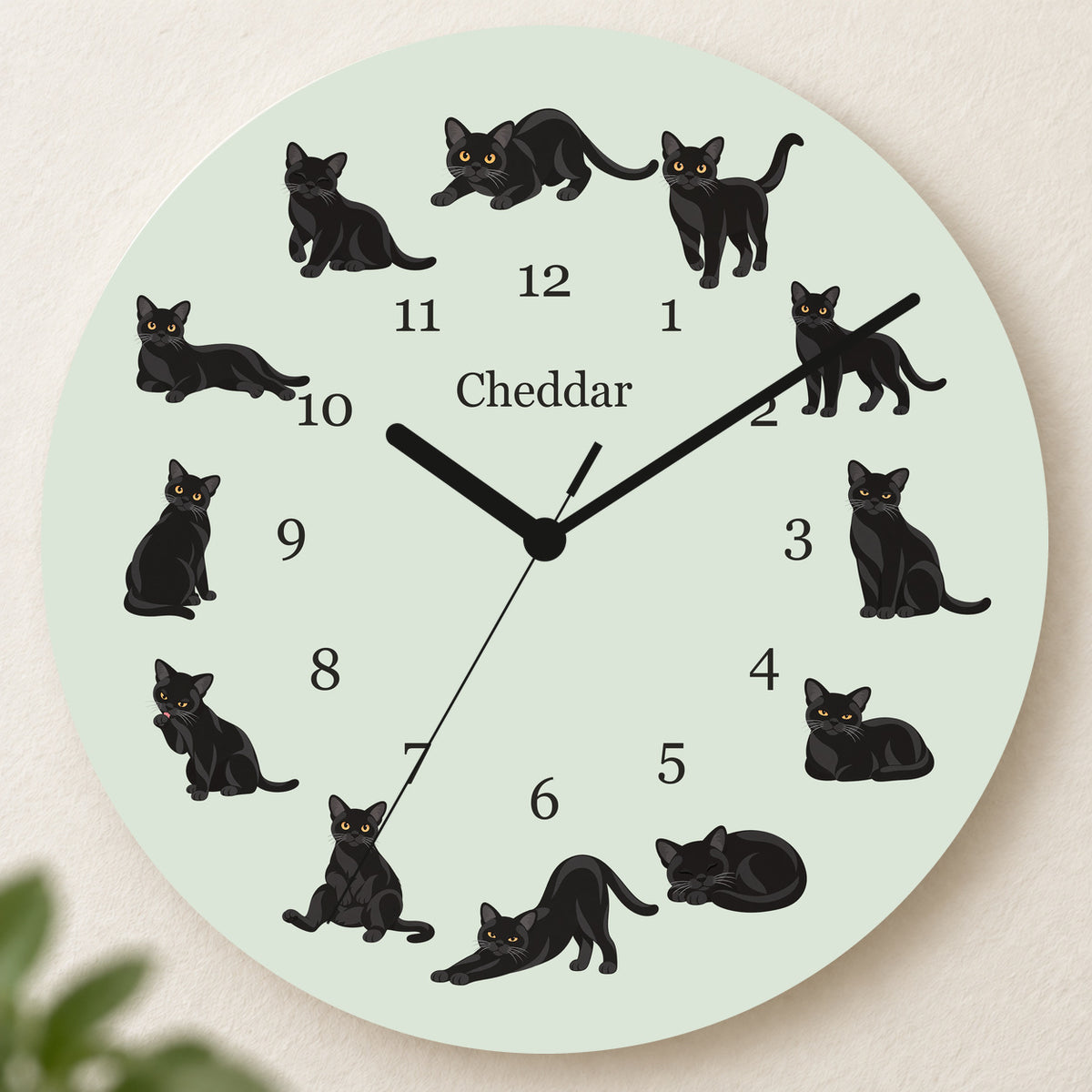 Personalized Bombay Cat Wall Clock, Custom Pet Name, 11.6 Inch Wooden Clock — Pale Sage background