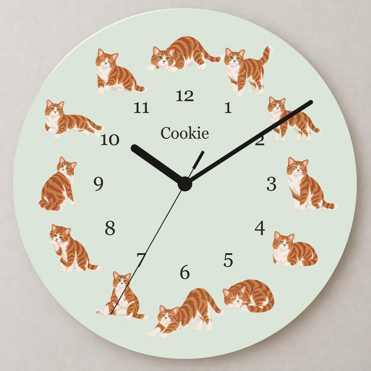 Personalized American Wirehair Cat wooden wall clock with example name Cookie; close up