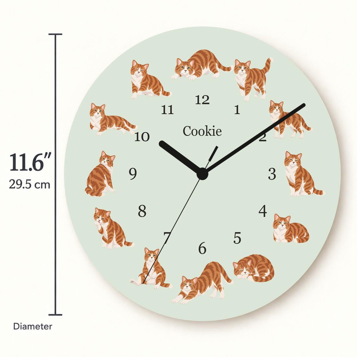 Personalized American Wirehair Cat wooden wall clock with example name Cookie; size
