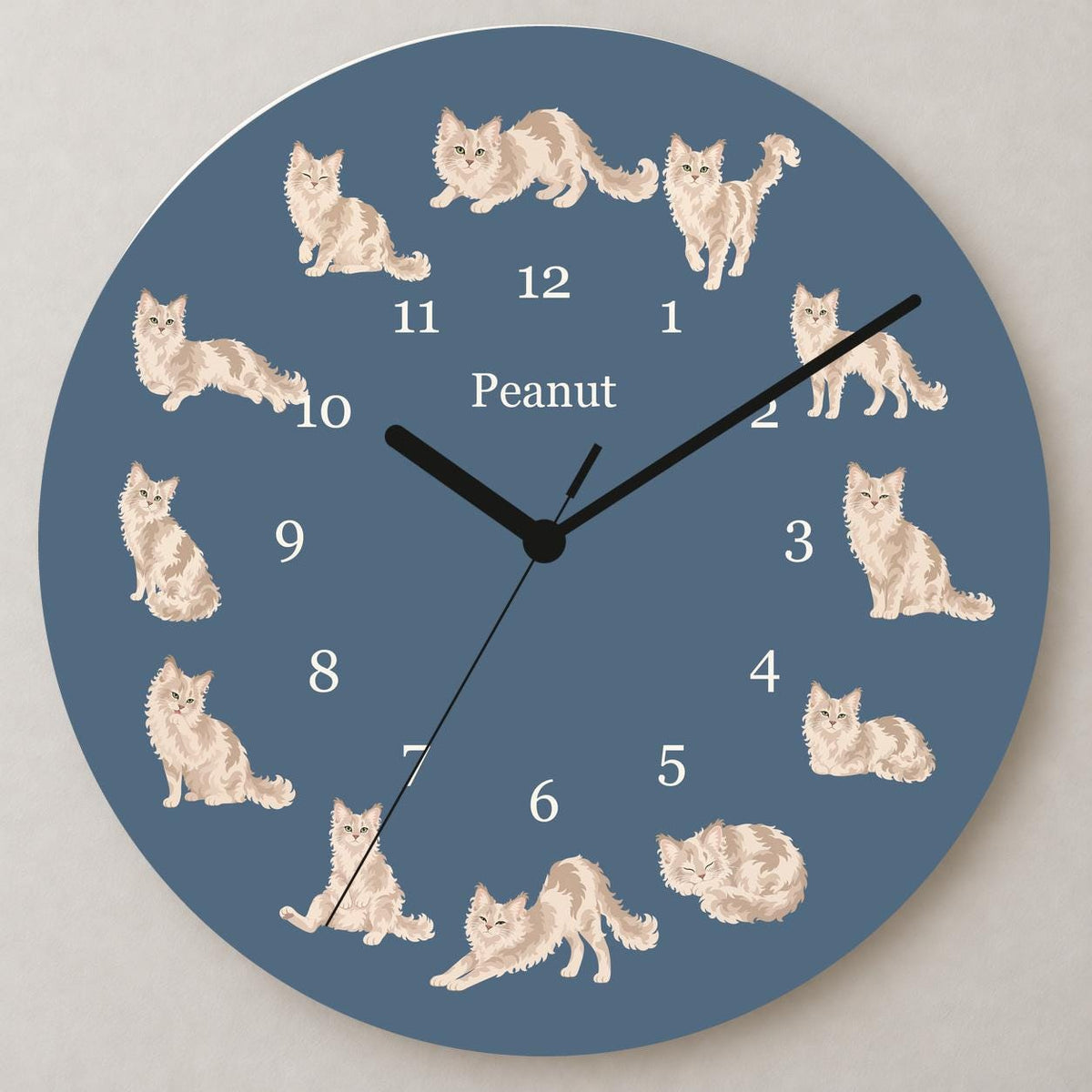 Personalized LaPerm Cat wooden wall clock with example name Peanut; close up