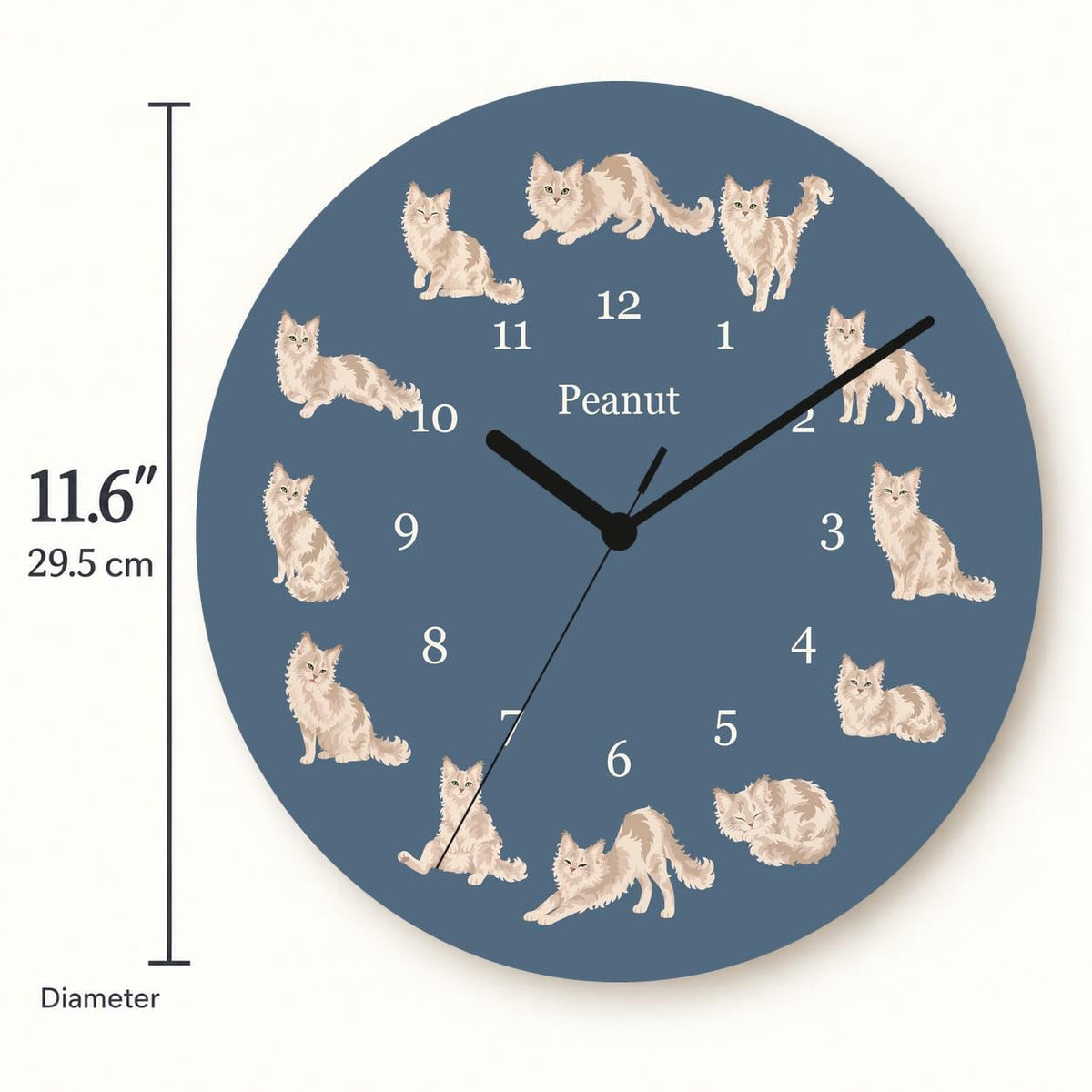 Personalized LaPerm Cat wooden wall clock with example name Peanut; size