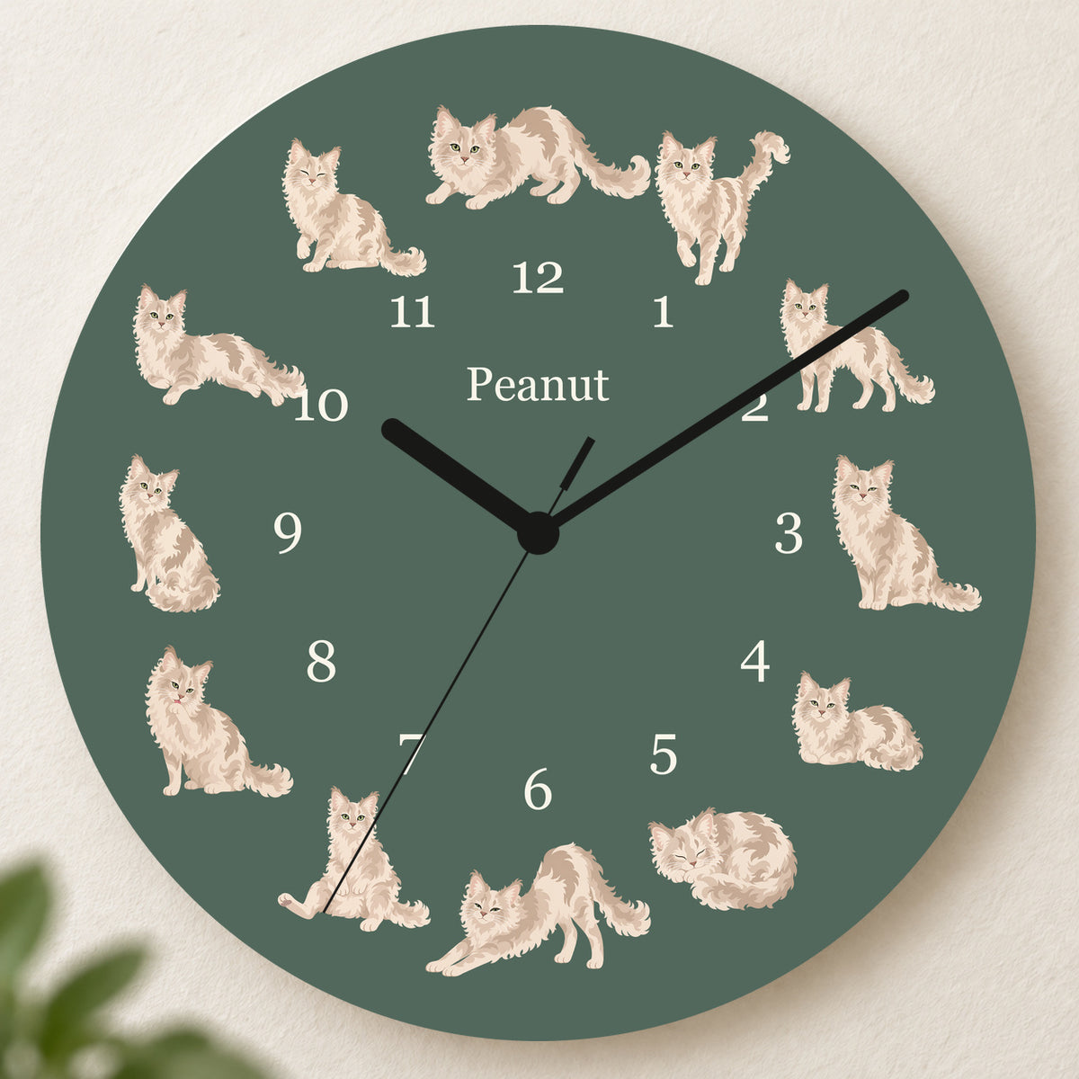 Personalized LaPerm Cat Wall Clock, Custom Pet Name, 11.6 Inch Wooden Clock — Deep Sage background