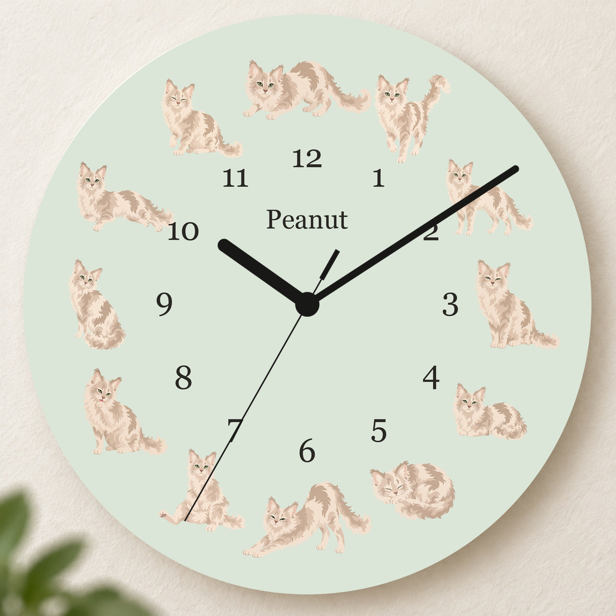Personalized LaPerm Cat Wall Clock, Custom Pet Name, 11.6 Inch Wooden Clock — Pale Sage background
