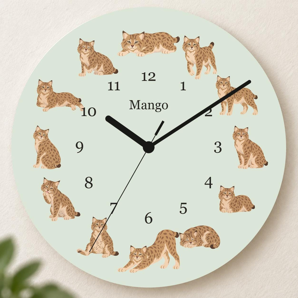 Personalized Pixie bob Cat wooden wall clock with example name Mango; hero