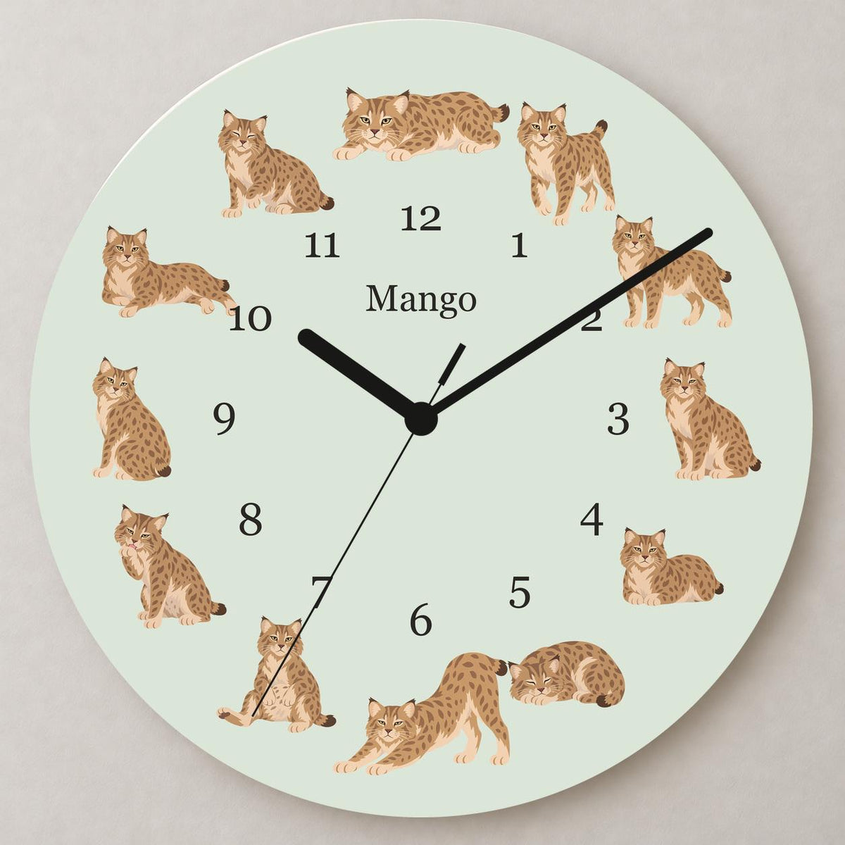 Personalized Pixie bob Cat wooden wall clock with example name Mango; close up