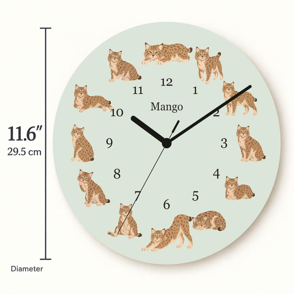 Personalized Pixie bob Cat wooden wall clock with example name Mango; size