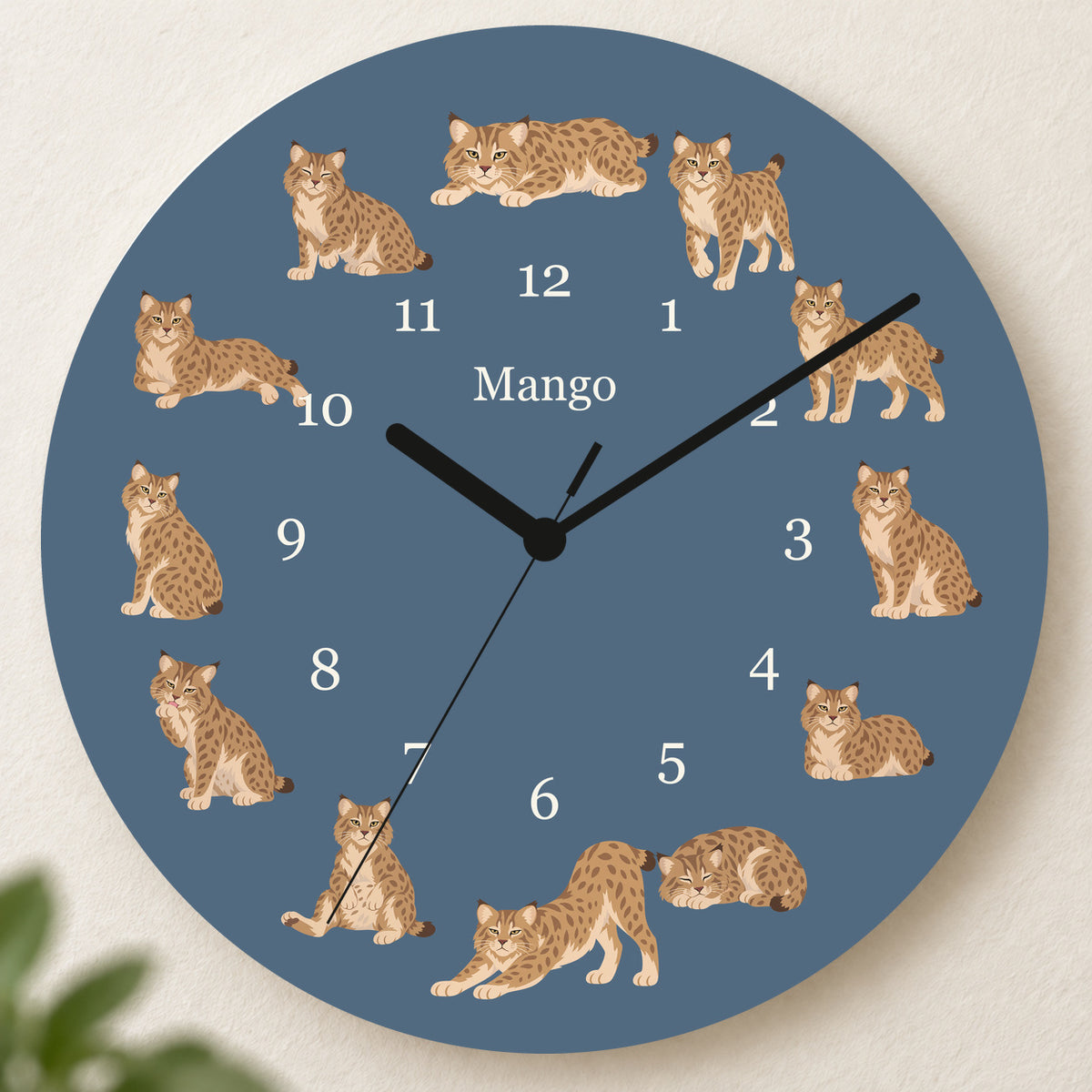 Personalized Pixie bob Cat Wall Clock, Custom Pet Name, 11.6 Inch Wooden Clock — Muted Denim background