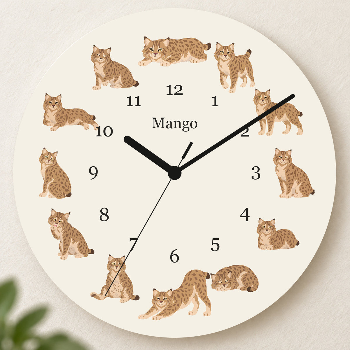 Personalized Pixie bob Cat Wall Clock, Custom Pet Name, 11.6 Inch Wooden Clock — Warm Ivory background