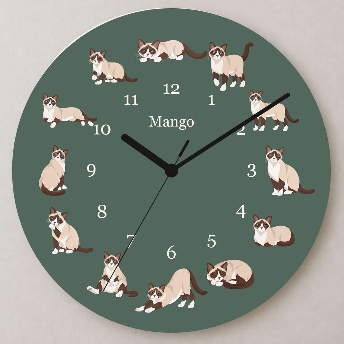 Personalized Snowshoe Cat wooden wall clock with example name Mango; close up