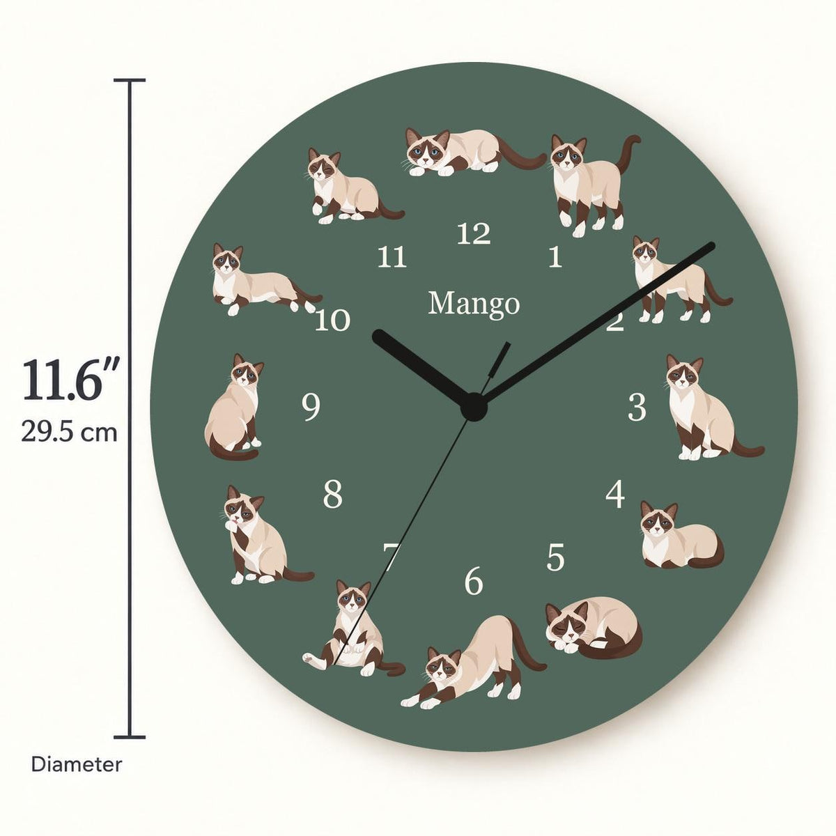 Personalized Snowshoe Cat wooden wall clock with example name Mango; size