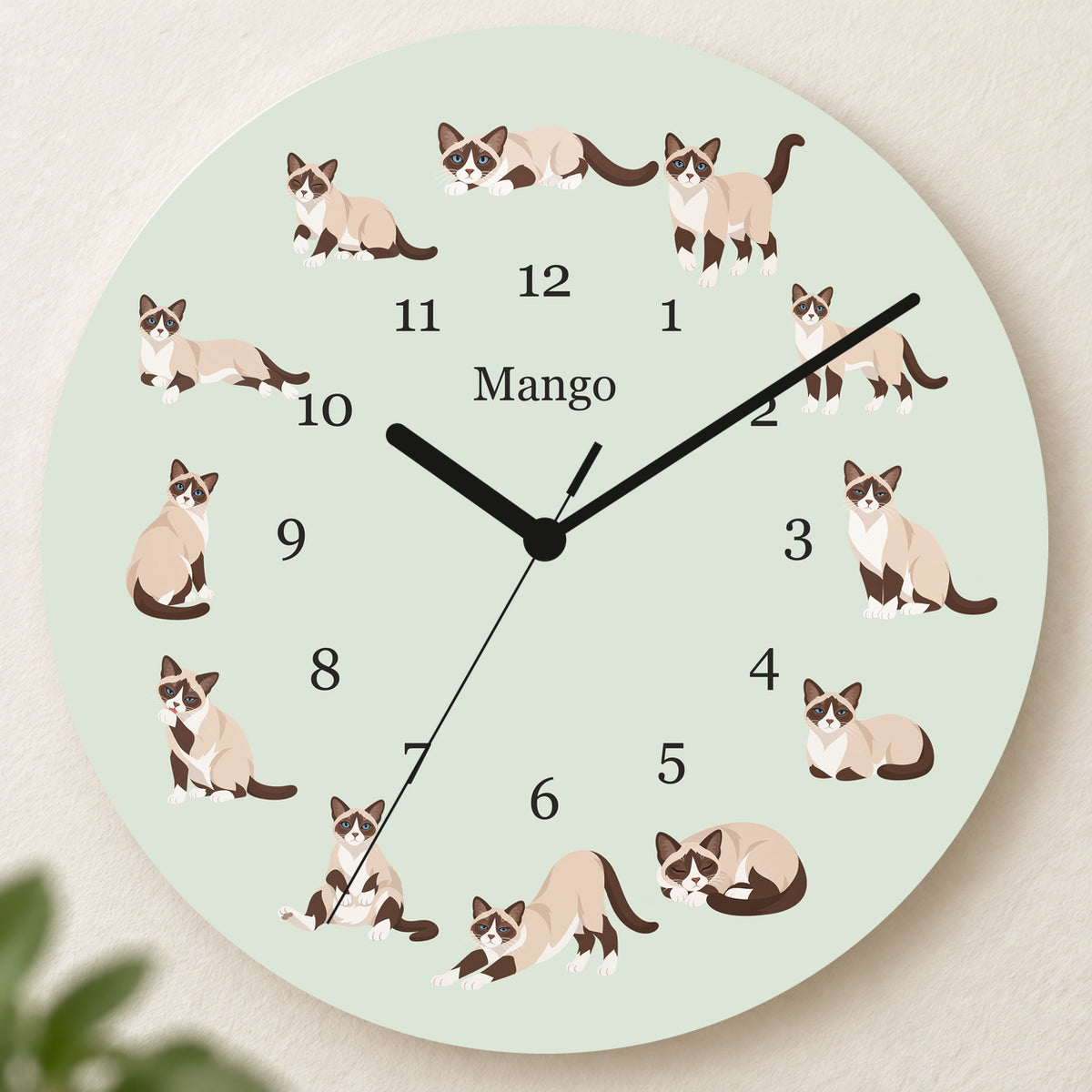Personalized Snowshoe Cat Wall Clock, Custom Pet Name, 11.6 Inch Wooden Clock — Pale Sage background