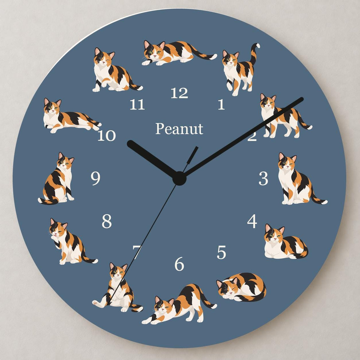Personalized Domestic Shorthair Cat wooden wall clock with example name Peanut; close up
