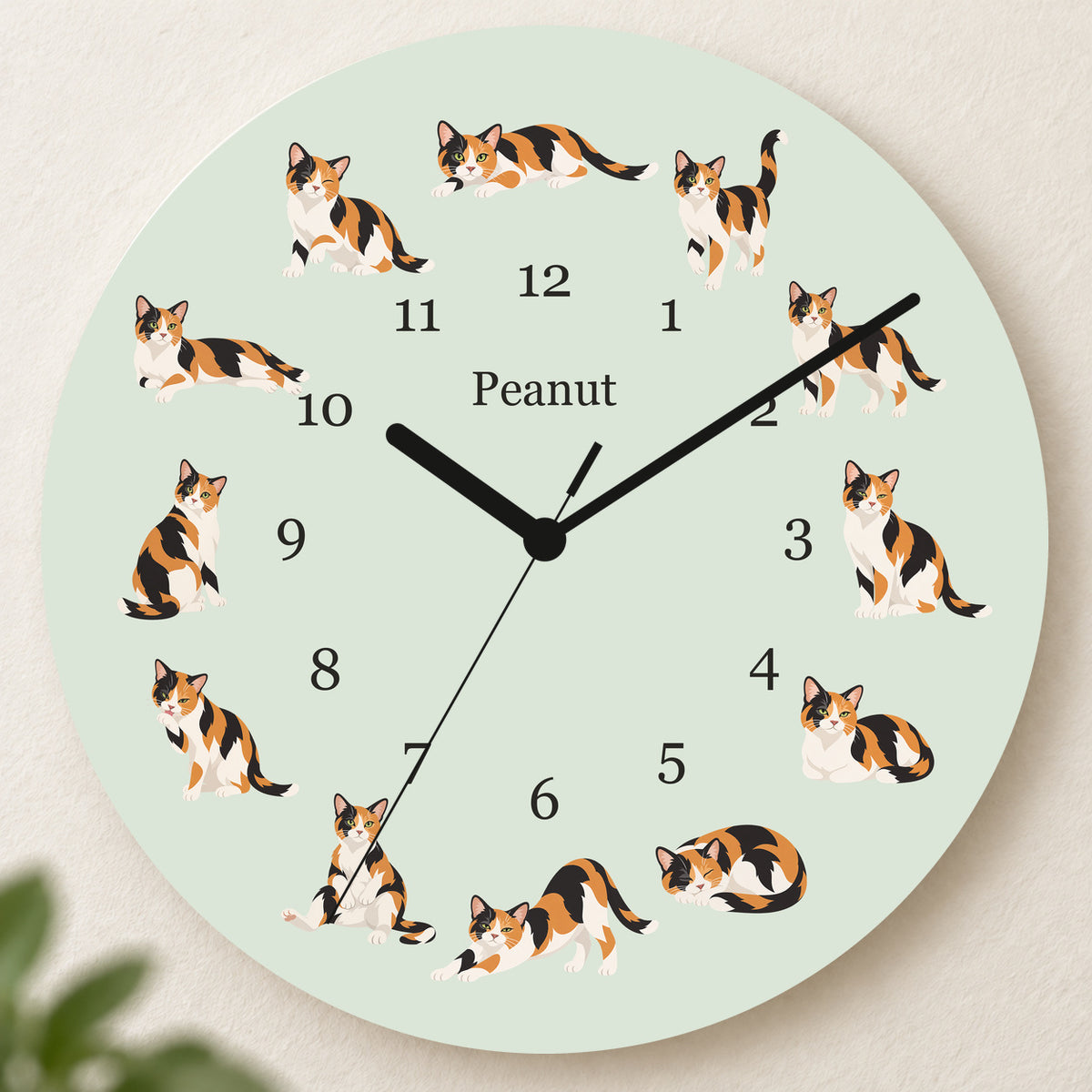 Personalized Domestic Shorthair Cat Wall Clock, Custom Pet Name, 11.6 Inch Wooden Clock — Pale Sage background