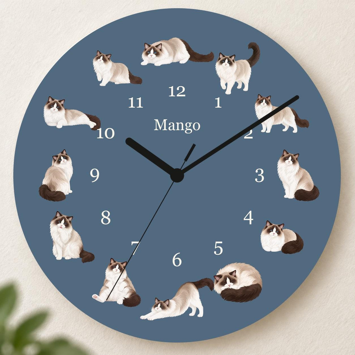 Personalized Ragdoll Cat wooden wall clock with example name Mango; hero