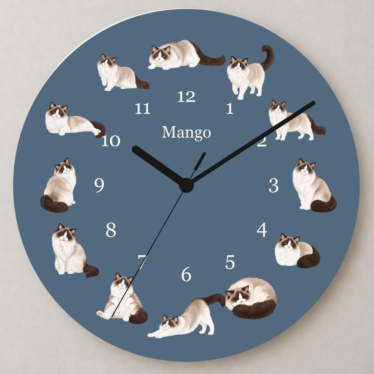 Personalized Ragdoll Cat wooden wall clock with example name Mango; close up