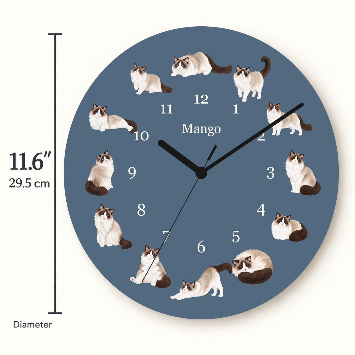 Personalized Ragdoll Cat wooden wall clock with example name Mango; size
