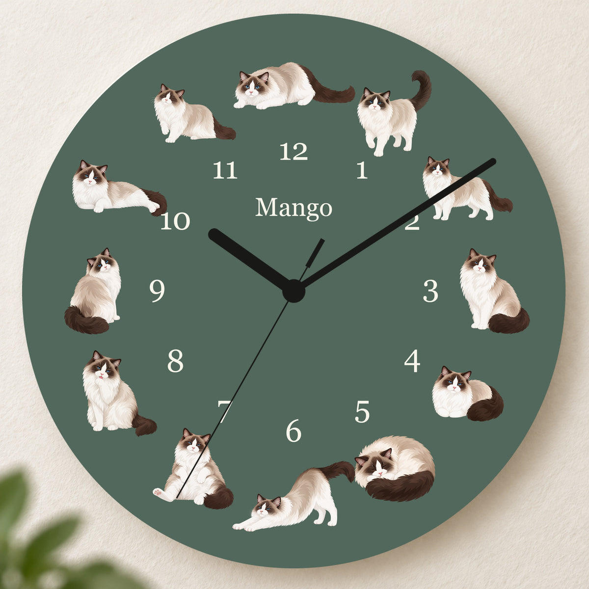 Personalized Ragdoll Cat Wall Clock, Custom Pet Name, 11.6 Inch Wooden Clock — Deep Sage background