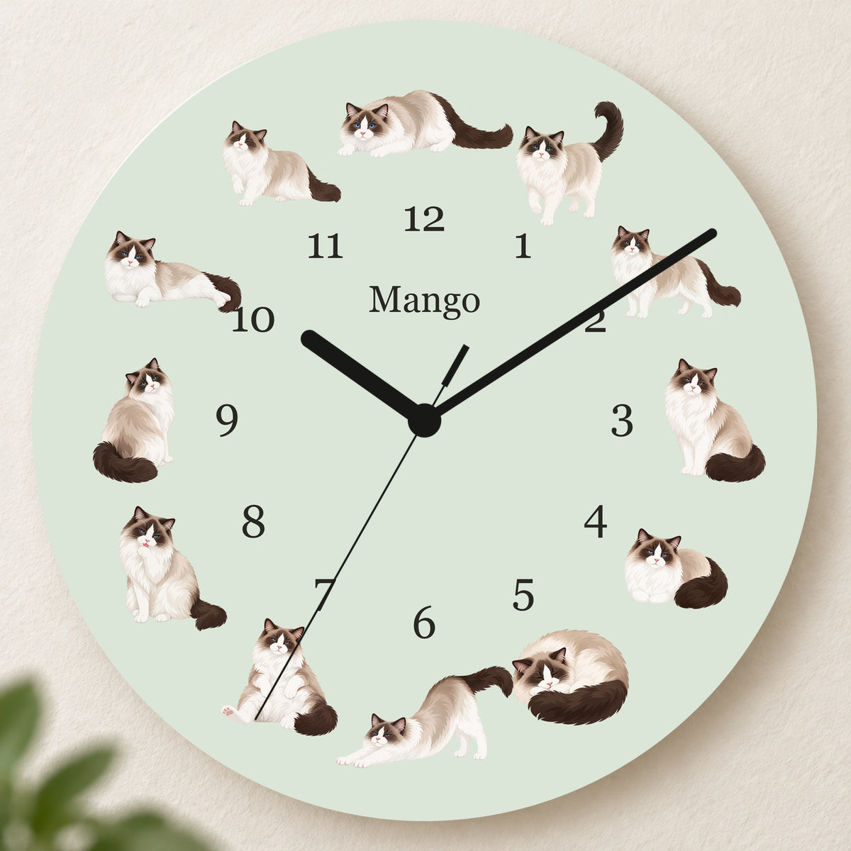 Personalized Ragdoll Cat Wall Clock, Custom Pet Name, 11.6 Inch Wooden Clock — Pale Sage background
