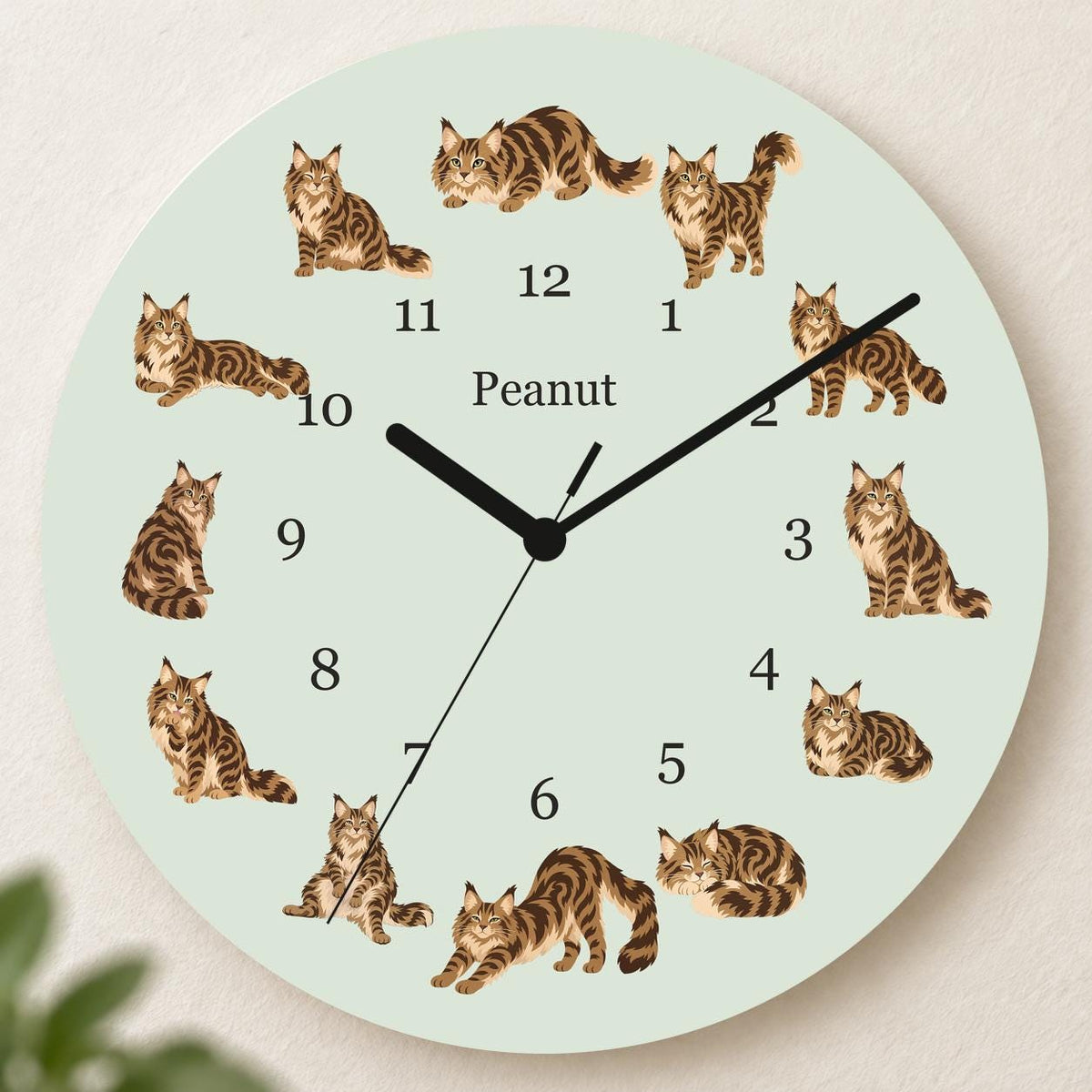 Personalized Maine Coon Cat wooden wall clock with example name Peanut; hero