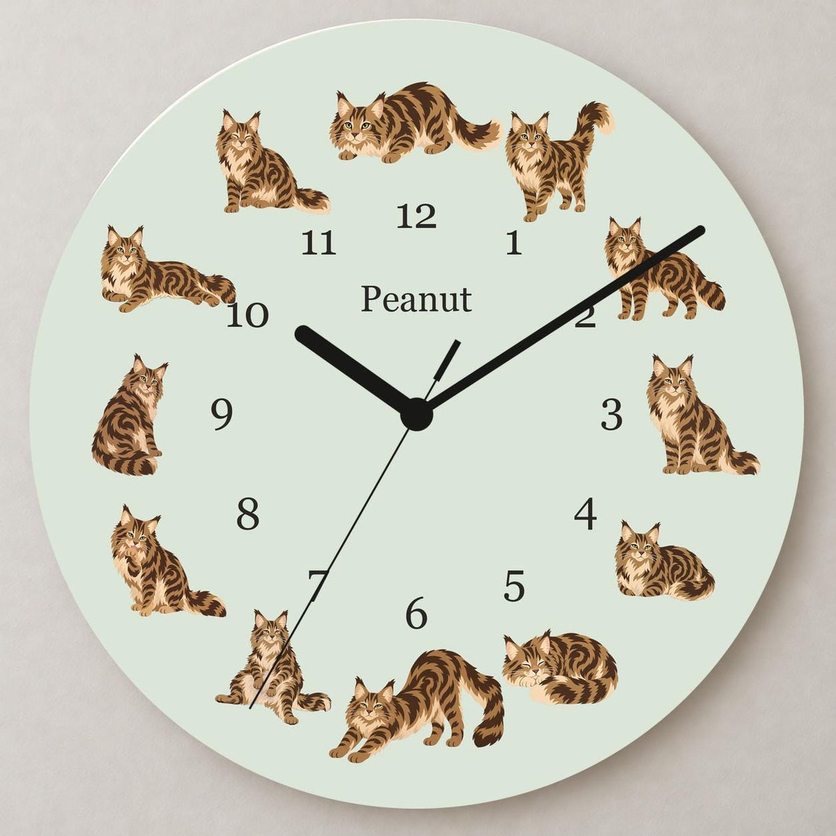 Personalized Maine Coon Cat wooden wall clock with example name Peanut; close up