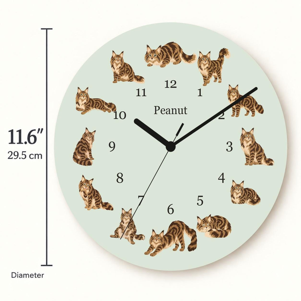 Personalized Maine Coon Cat wooden wall clock with example name Peanut; size