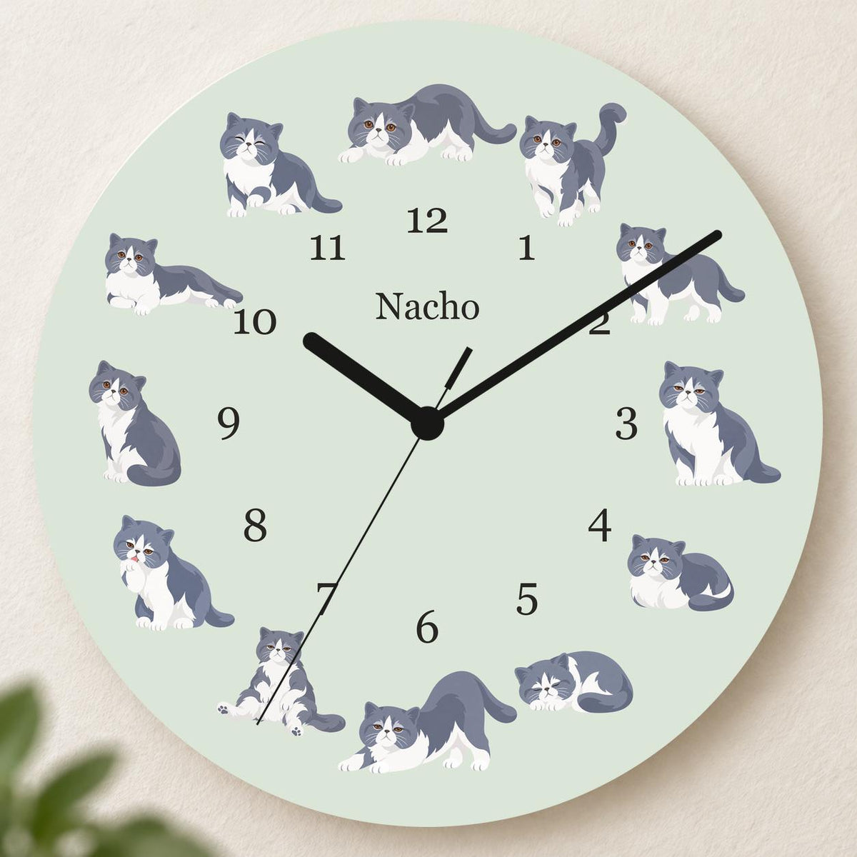 Personalized Exotic Shorthair Cat wooden wall clock with example name Nacho; hero