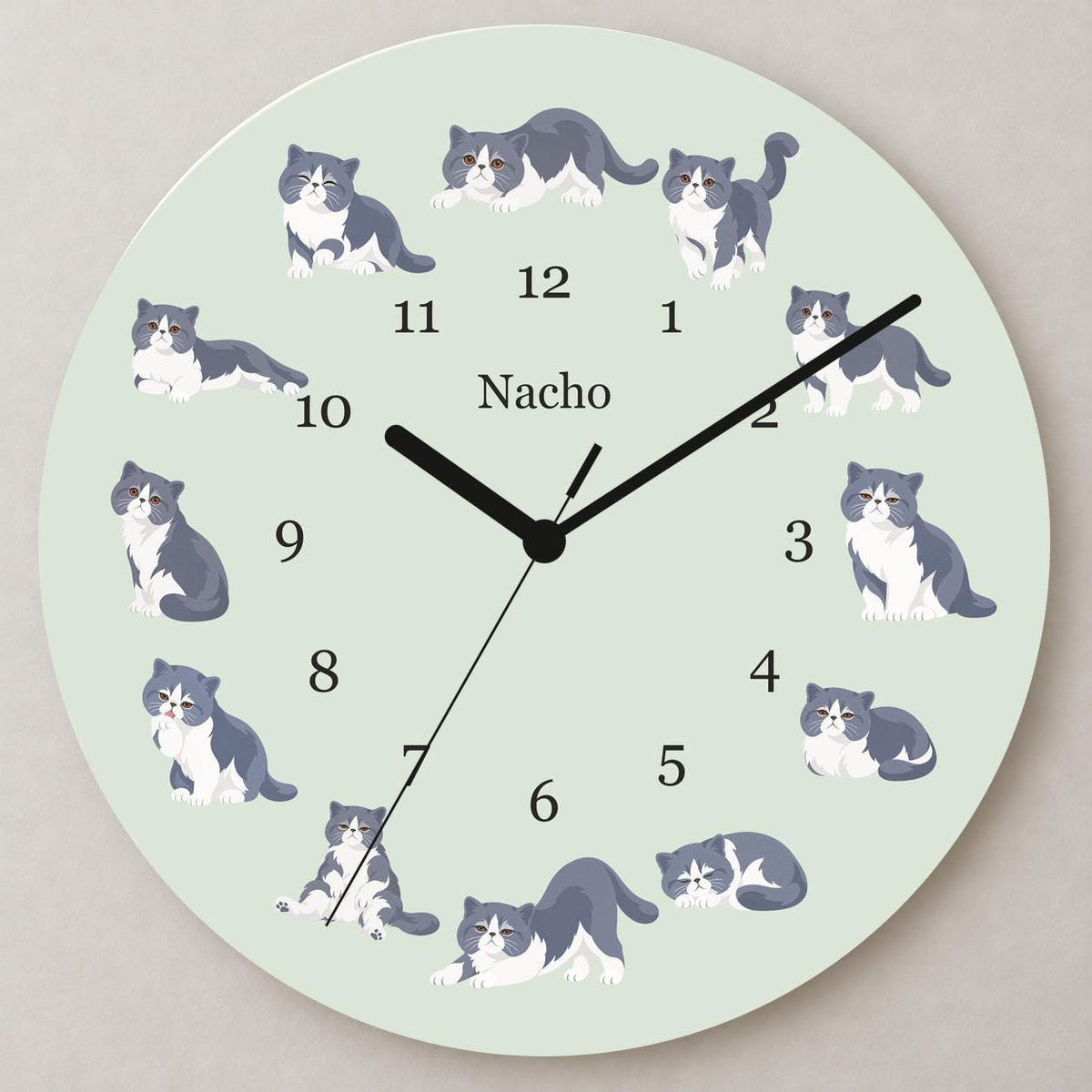 Personalized Exotic Shorthair Cat wooden wall clock with example name Nacho; close up