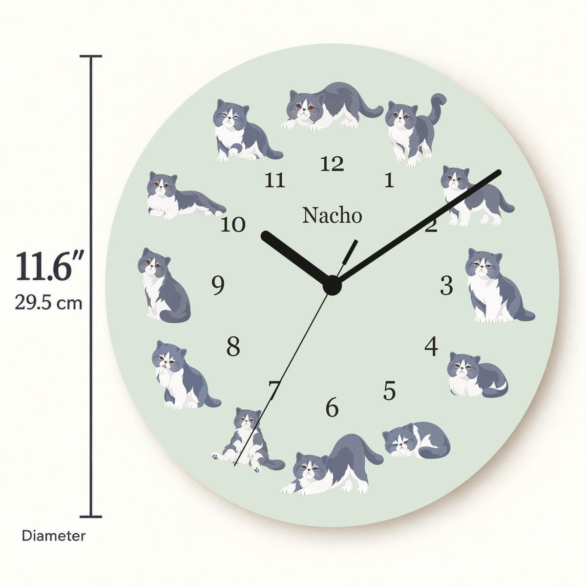 Personalized Exotic Shorthair Cat wooden wall clock with example name Nacho; size