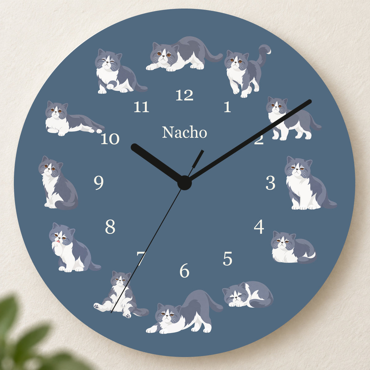 Personalized Exotic Shorthair Cat Wall Clock, Custom Pet Name, 11.6 Inch Wooden Clock — Muted Denim background