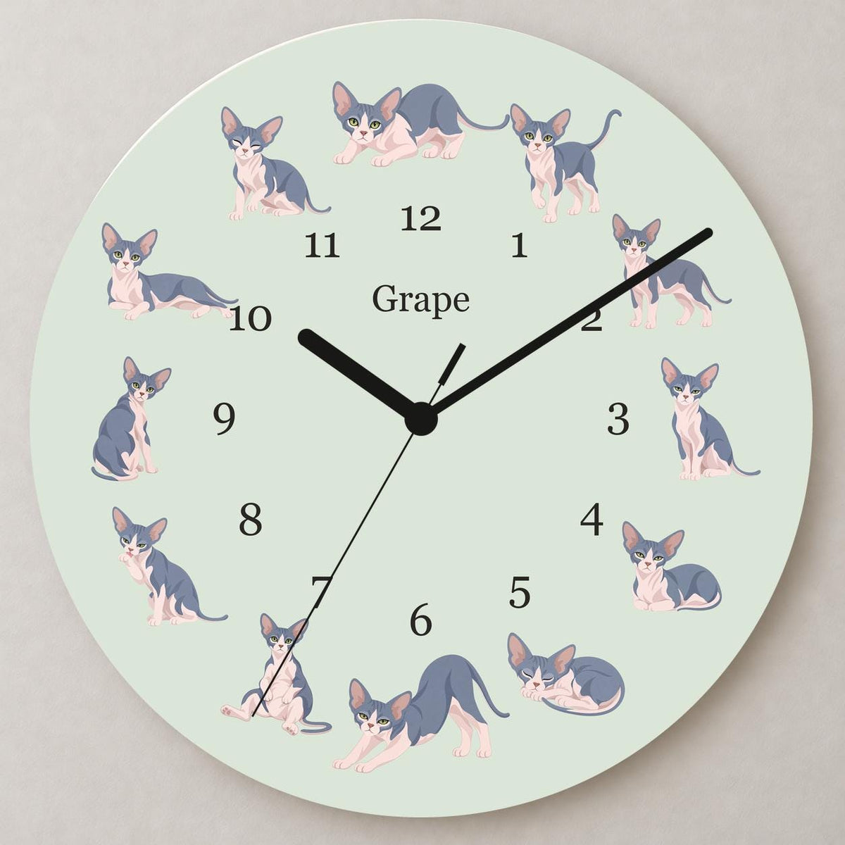 Personalized Sphynx Cat wooden wall clock with example name Grape; close up