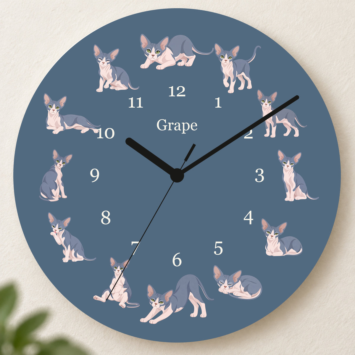 Personalized Sphynx Cat Wall Clock, Custom Pet Name, 11.6 Inch Wooden Clock — Muted Denim background