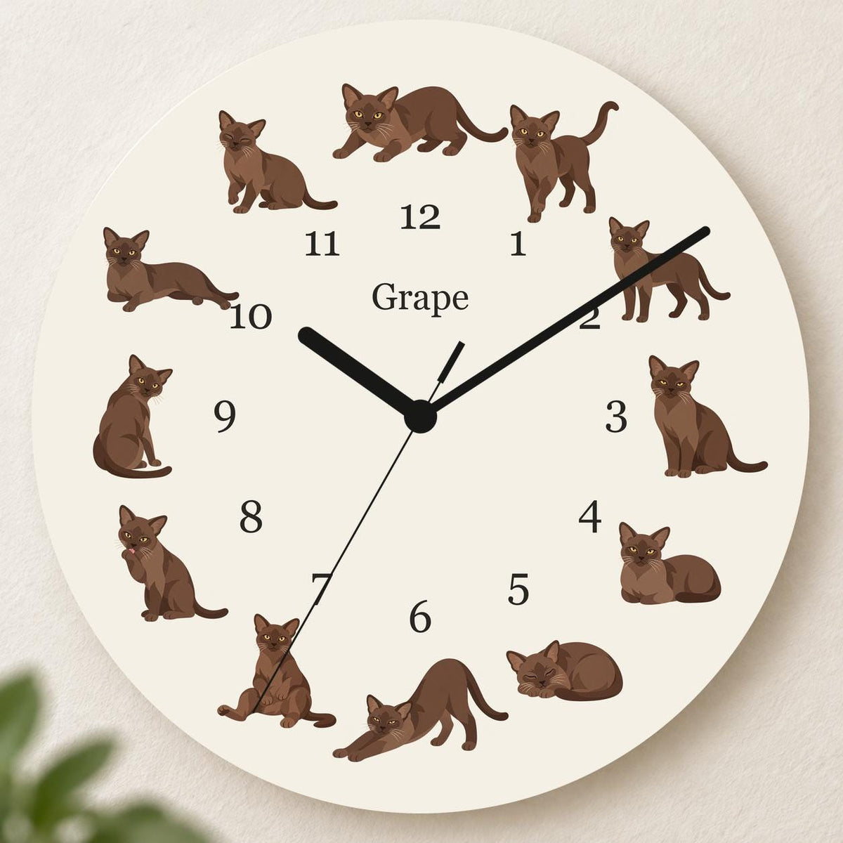 Personalized European Burmese Cat wooden wall clock with example name Grape; hero
