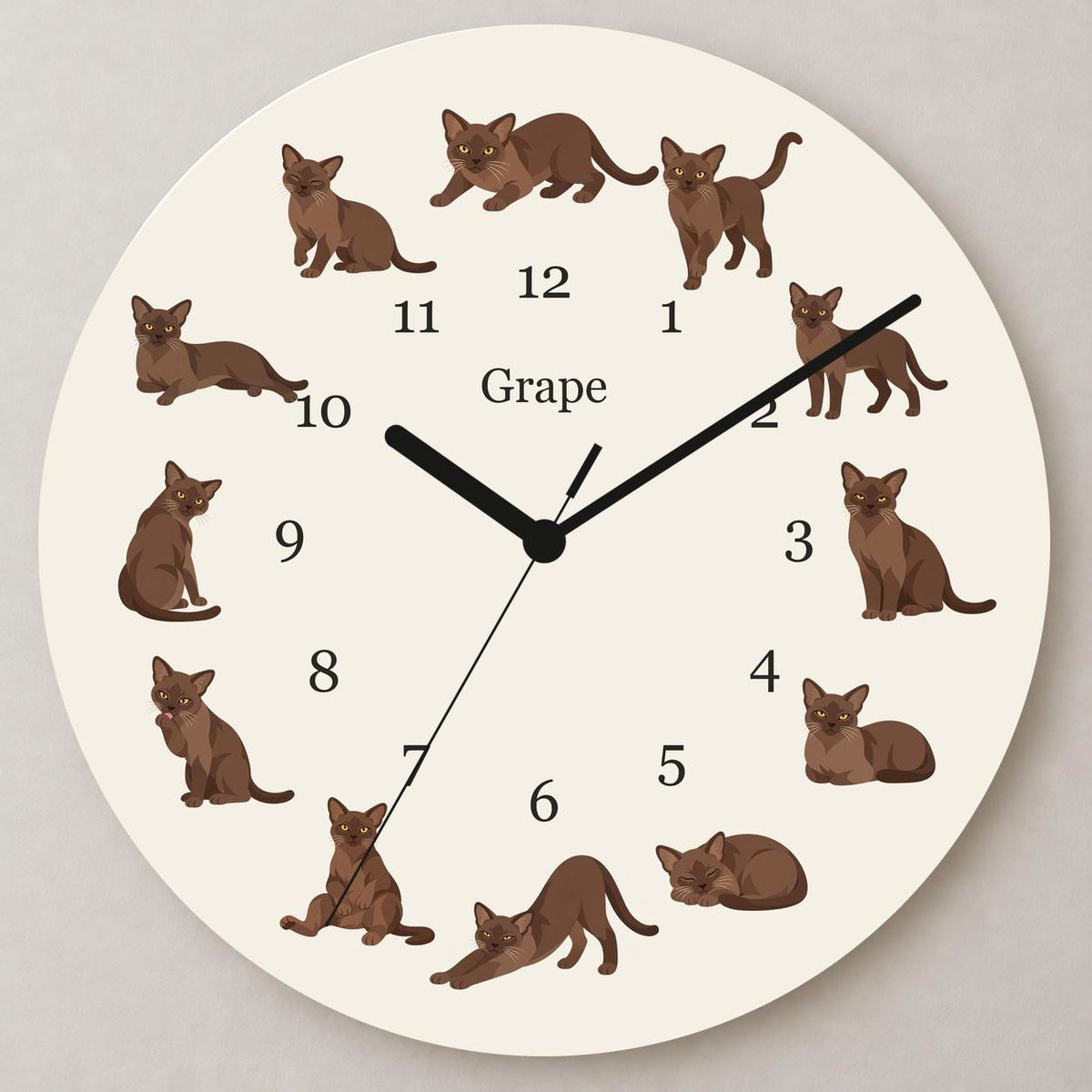 Personalized European Burmese Cat wooden wall clock with example name Grape; close up