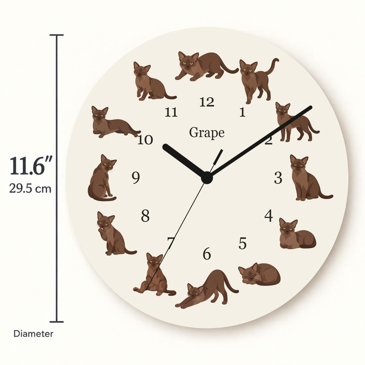 Personalized European Burmese Cat wooden wall clock with example name Grape; size