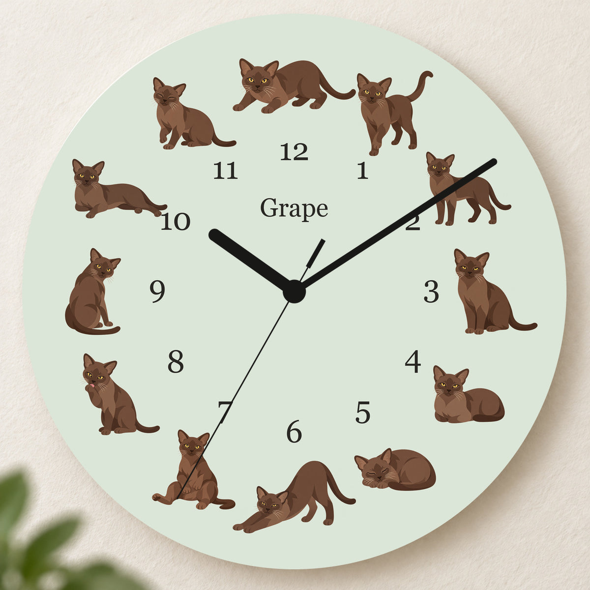 Personalized European Burmese Cat Wall Clock, Custom Pet Name, 11.6 Inch Wooden Clock — Pale Sage background